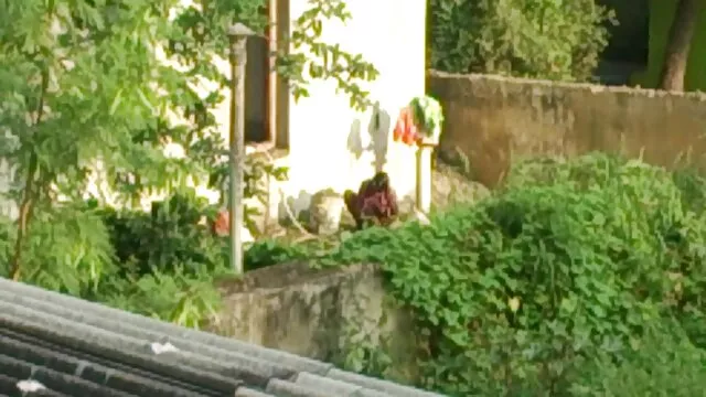 जेल बीएफ एचडी सेक्सी मूवी सेल गधा कमबख्त