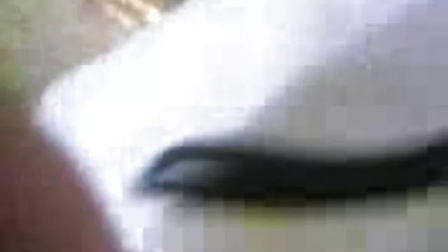 डाउनलोड प्रेमिका त्रिगुट एचडी बीएफ मूवी सेक्सी सेक्स