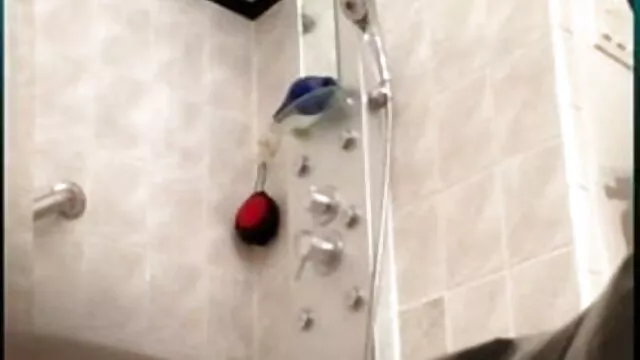 आबनूस चेहरे की बिग सेक्सी एचडी बीएफ मूवी