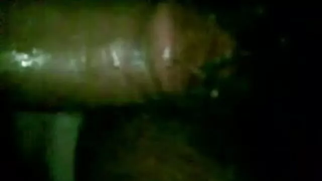 छात्र नंगा बीएफ सेक्सी मूवी वीडियो फुल एचडी नाच सह शॉट