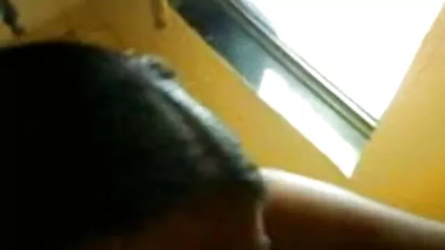 सेक्सी ब्राजील आबनूस कामुक बिल्ली कमबख्त के साथ उसके सींग का बना हुआ बीएफ सेक्सी ओपन मूवी प्रेमी -