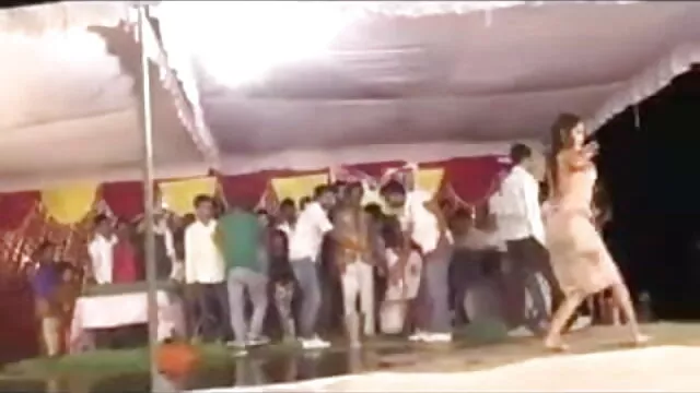 मेरी बिल्ली के साथ खेल रहा है, जबकि सेक्सी बीएफ मूवी अश्लील देख