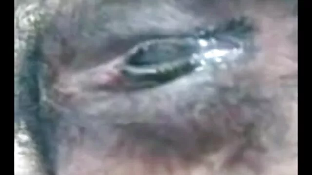 से उसे बिल्ली से पहले एक बड़ा मुर्गा में प्रवेश किया बीएफ सेक्सी मूवी कार्टून एशियाई किशोर उसे गधे