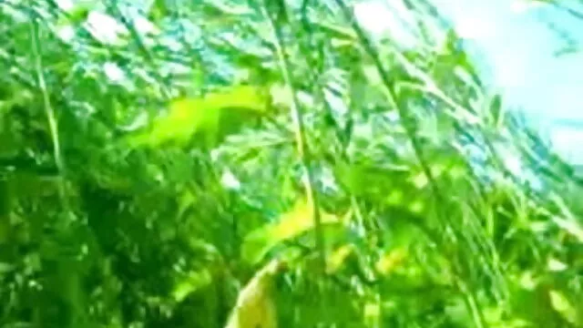 लैटिना सुनहरे बालों वाली एक मुर्गा अंग्रेजी बीएफ मूवी के साथ उसके पैर!