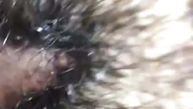 मिस्टी एचडी बीएफ मूवी सेक्सी शानदार blowjob