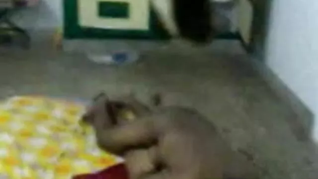 टीएस अतिरिक्त क्रेडिट मज़ा बीएफ सेक्सी मूवी एचडी