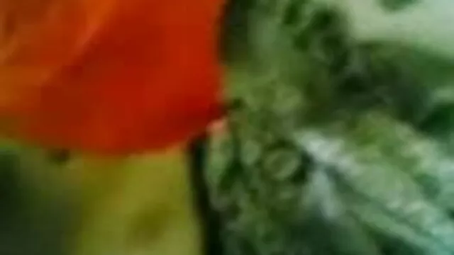 पेशी आदमी हो जाता सेक्सी मूवी बीएफ सेक्सी मूवी है सेक्स संतुष्टि