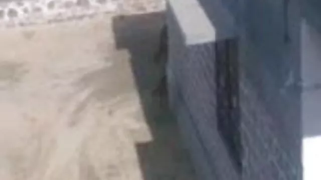 एशियाई सनी लियोन का बीएफ फुल एचडी मूवी मॉडल उसे बिल्ली फैलता है