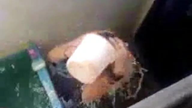 थाई किशोर कॉलेज सेक्सी मूवी बीएफ फुल एचडी चूसने और सवारी के बाद