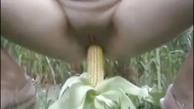 जेरेमी Feist हिंदी सेक्सी बीएफ मूवी s मुर्गा चाहता है